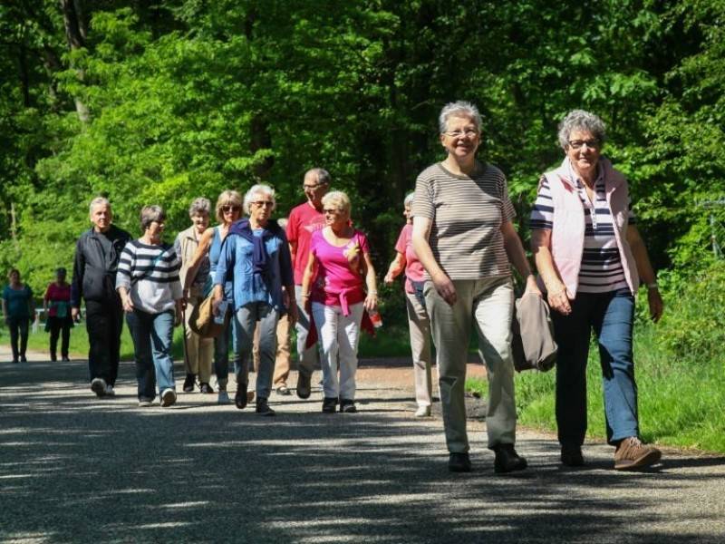 wandelen.jpg